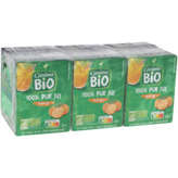 100% pur jus - Orange - Mini Brique - Biologique 6x20cl